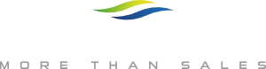 palatinum - sales training - logo